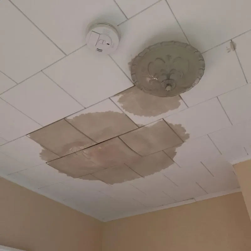 Ceiling Water Damage Repair in San Saba, TX