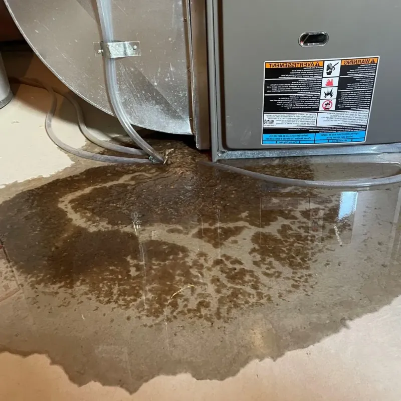 Pipe Burst and Leak Restoration in San Saba, TX
