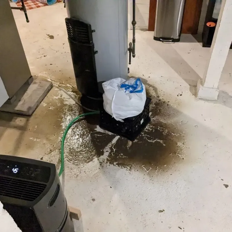 Sewage Backup Cleanup Service in San Saba, TX